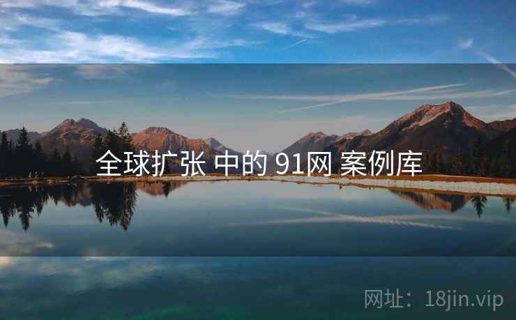 全球扩张 中的 91网 案例库