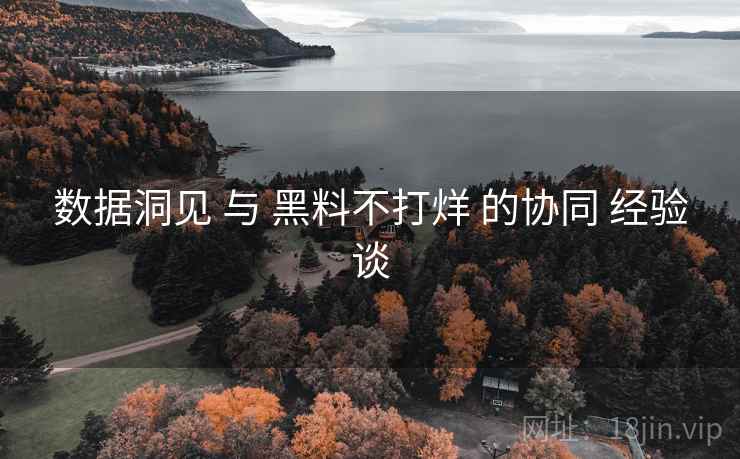数据洞见 与 黑料不打烊 的协同 经验谈