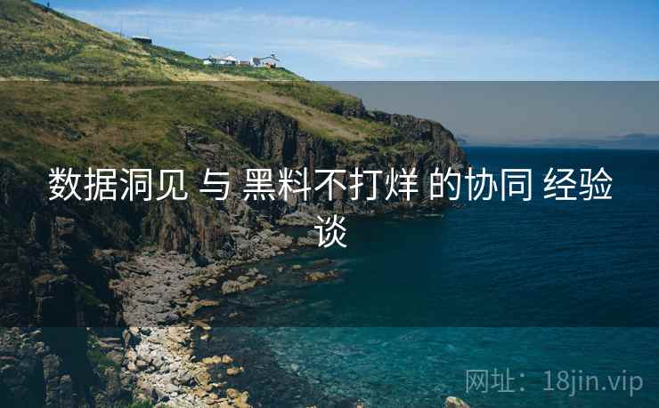 数据洞见 与 黑料不打烊 的协同 经验谈