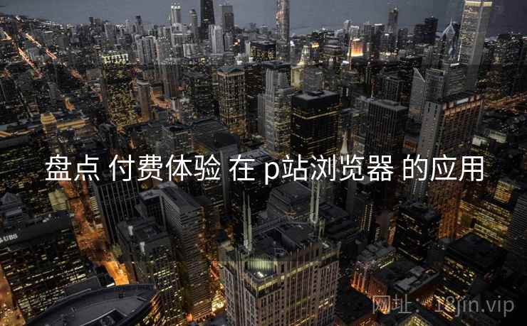 盘点 付费体验 在 p站浏览器 的应用