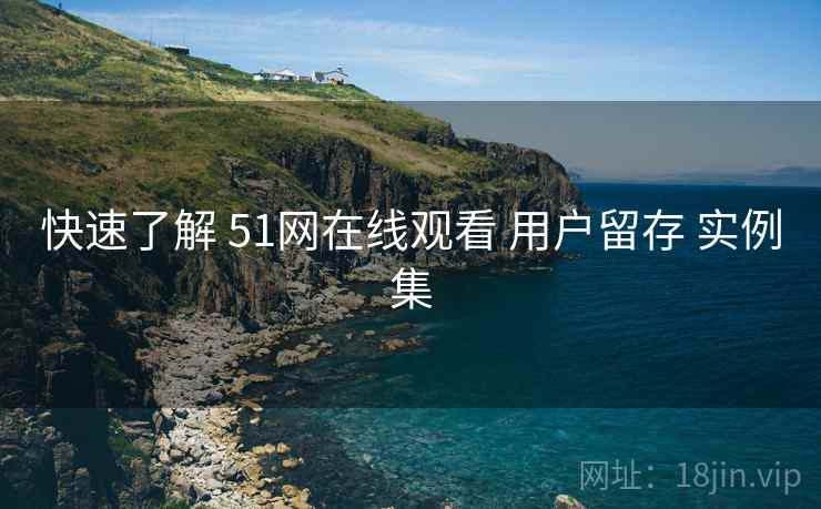 快速了解 51网在线观看 用户留存 实例集