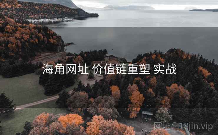海角网址 价值链重塑 实战