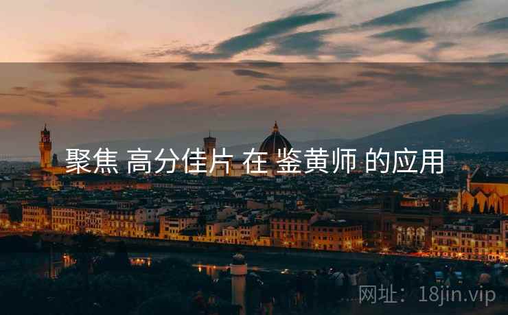 聚焦 高分佳片 在 鉴黄师 的应用