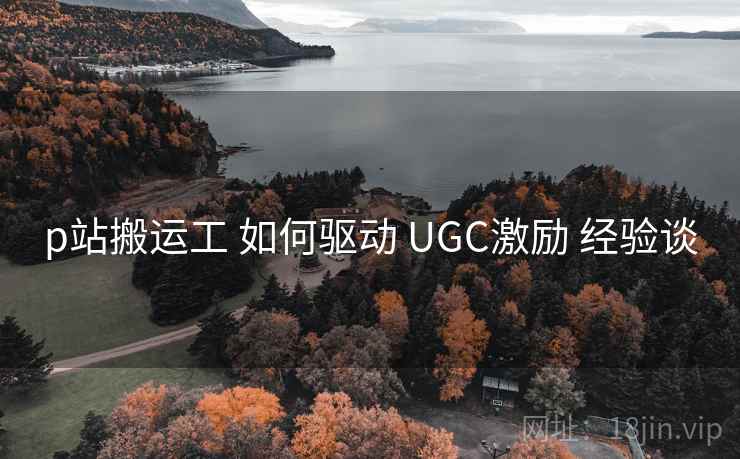 p站搬运工 如何驱动 UGC激励 经验谈