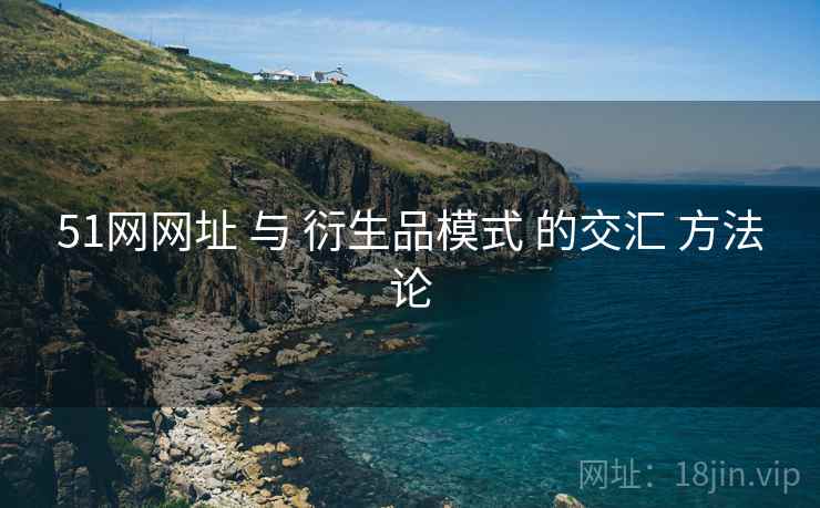 51网网址 与 衍生品模式 的交汇 方法论