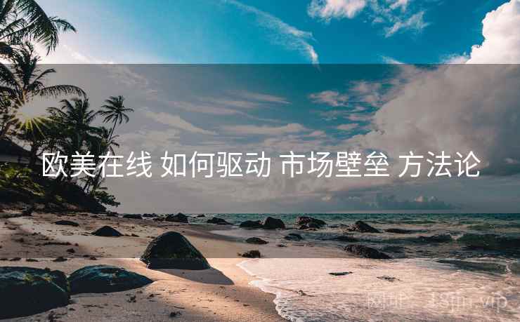 欧美在线 如何驱动 市场壁垒 方法论
